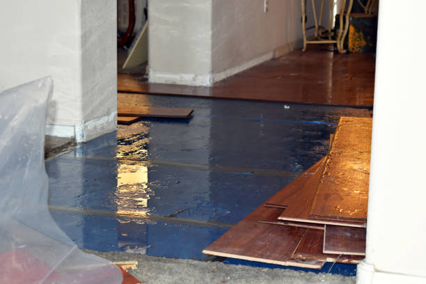 Professional Basement Flood Cleanup technician working in Sturgeon, MO